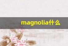 magnolia什么意思,magnolia中文翻译,magnolia用法及例句,magnolia怎么读-涂之词典
