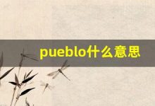 pueblo什么意思,pueblo中文翻译,pueblo用法及例句,pueblo怎么读-涂之词典