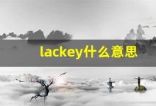 lackey什么意思,lackey中文翻译,lackey用法及例句,lackey怎么读-涂之词典