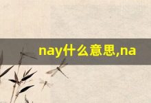 nay什么意思,nay中文翻译,nay用法及例句,nay怎么读-涂之词典