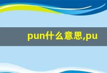 pun什么意思,pun中文翻译,pun用法及例句,pun怎么读-涂之词典