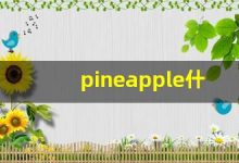 pineapple什么意思,pineapple中文翻译,pineapple用法及例句,pineapple怎么读-涂之词典