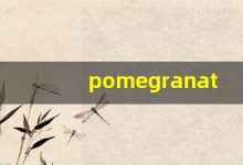 pomegranate什么意思,pomegranate中文翻译,pomegranate用法及例句,pomegranate怎么读-涂之词典