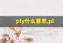 ply什么意思,ply中文翻译,ply用法及例句,ply怎么读-涂之词典