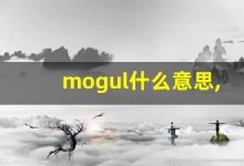 mogul什么意思,mogul中文翻译,mogul用法及例句,mogul怎么读-涂之词典