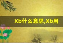 Xb什么意思,Xb用法,Xb造句,Xb的发音-涂之词典