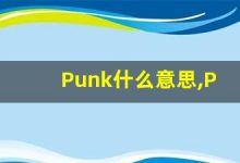 Punk什么意思,Punk用法,Punk的发音,Punk翻译-涂之词典
