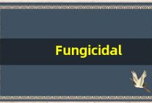 Fungicidal的翻译,Fungicidal怎么读,Fungicidal造句及用法-涂之词典