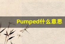 Pumped什么意思,Pumped用法,Pumped的发音,Pumped翻译-涂之词典