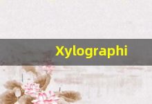 Xylographic什么意思,Xylographic用法,Xylographic造句,Xylographic的发音-涂之词典