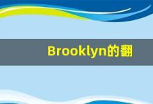 Brooklyn的翻译,Brooklyn怎么读,Brooklyn造句及用法-涂之词典
