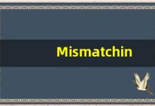 Mismatching的翻译,Mismatching怎么读,Mismatching造句及用法-涂之词典