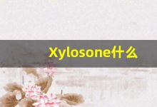 Xylosone什么意思,Xylosone用法,Xylosone造句,Xylosone的发音-涂之词典