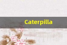 Caterpillar什么意思,Caterpillar用法,Caterpillar的发音,Caterpillar翻译-涂之词典