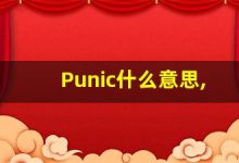Punic什么意思,Punic用法,Punic的发音,Punic翻译-涂之词典