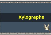 Xylographer什么意思,Xylographer用法,Xylographer造句,Xylographer的发音-涂之词典