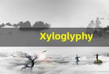 Xyloglyphy什么意思,Xyloglyphy用法,Xyloglyphy造句,Xyloglyphy的发音-涂之词典