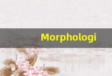 Morphological的翻译,Morphological怎么读,Morphological造句及用法-涂之词典
