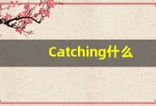 Catching什么意思,Catching用法,Catching的发音,Catching翻译-涂之词典