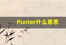 Punter什么意思,Punter用法,Punter的发音,Punter翻译-涂之词典