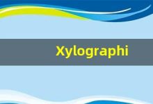 Xylographic什么意思,Xylographic用法,Xylographic造句,Xylographic的发音-涂之词典