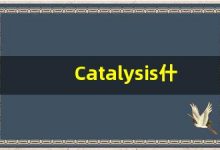 Catalysis什么意思,Catalysis用法,Catalysis的发音,Catalysis翻译-涂之词典