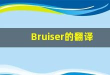 Bruiser的翻译,Bruiser怎么读,Bruiser造句及用法-涂之词典