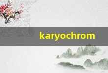 karyochrome什么意思,karyochrome造句用法,karyochrome的发音,karyochrome中文翻译-涂之词典