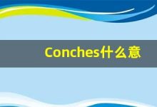 Conches什么意思,Conches用法,Conches的发音,Conches翻译-涂之词典