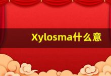 Xylosma什么意思,Xylosma用法,Xylosma造句,Xylosma的发音-涂之词典