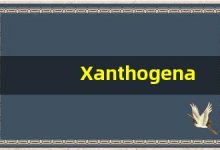 Xanthogenamide什么意思,Xanthogenamide用法,Xanthogenamide造句,Xanthogenamide的发音-涂之词典
