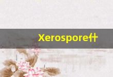 Xerospore什么意思,Xerospore用法,Xerospore造句,Xerospore的发音-涂之词典