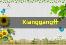 Xianggang什么意思,Xianggang用法,Xianggang造句,Xianggang的发音-涂之词典