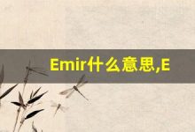 Emir什么意思,Emir用法,Emir的发音,Emir翻译-涂之词典