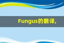 Fungus的翻译,Fungus怎么读,Fungus造句及用法-涂之词典