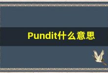 Pundit什么意思,Pundit用法,Pundit的发音,Pundit翻译-涂之词典
