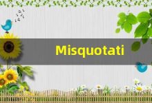 Misquotation的翻译,Misquotation怎么读,Misquotation造句及用法-涂之词典