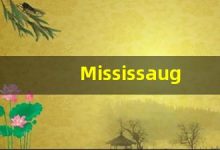 Mississauga的翻译,Mississauga怎么读,Mississauga造句及用法-涂之词典