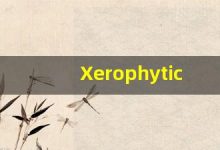 Xerophytic什么意思,Xerophytic用法,Xerophytic造句,Xerophytic的发音-涂之词典