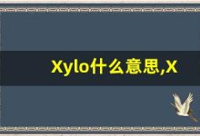 Xylo什么意思,Xylo用法,Xylo造句,Xylo的发音-涂之词典