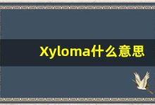 Xyloma什么意思,Xyloma用法,Xyloma造句,Xyloma的发音-涂之词典