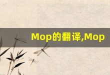 Mop的翻译,Mop怎么读,Mop造句及用法-涂之词典