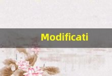 Modifications的翻译,Modifications怎么读,Modifications造句及用法-涂之词典