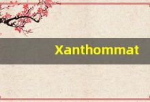 Xanthommatin什么意思,Xanthommatin用法,Xanthommatin造句,Xanthommatin的发音-涂之词典