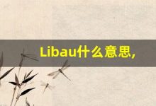 Libau什么意思,Libau用法,Libau同义词,Libau的发音-涂之词典