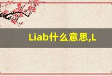 Liab什么意思,Liab用法,Liab同义词,Liab的发音-涂之词典