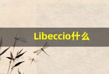 Libeccio什么意思,Libeccio用法,Libeccio同义词,Libeccio的发音-涂之词典
