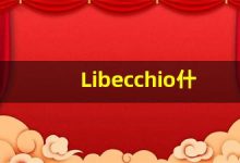 Libecchio什么意思,Libecchio用法,Libecchio同义词,Libecchio的发音-涂之词典