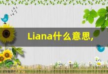 Liana什么意思,Liana用法,Liana同义词,Liana的发音-涂之词典