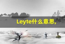 Leyte什么意思,Leyte用法,Leyte同义词,Leyte的发音-涂之词典